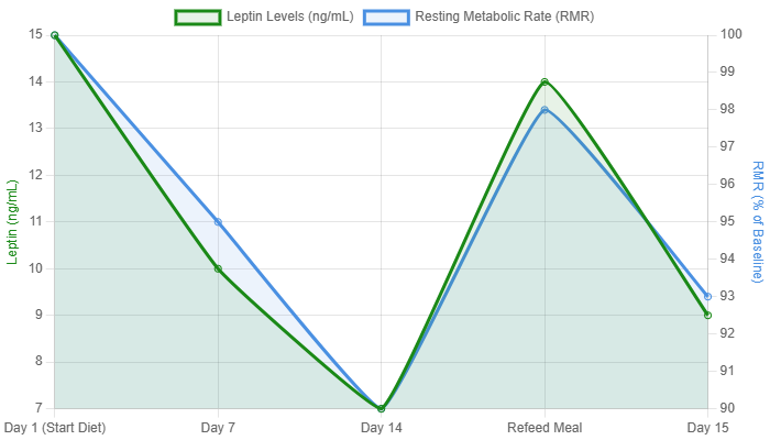 Leptin & Metabolic Rate Response to Dieting & Refeeding