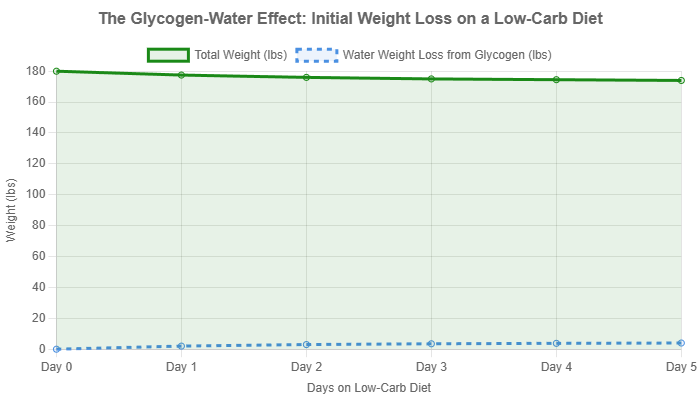 the-glycogen-water-effect-initial-weight-loss-on-a-low-carb-diet