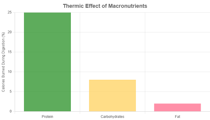 thermic-effect-of-macronutrients