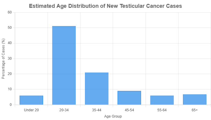 Estimated age distribution of new testicular cancer cases