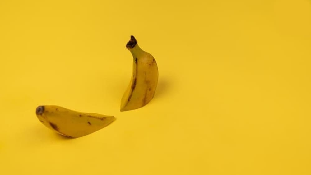 Penile Fracture Explained: Understanding the Emergency